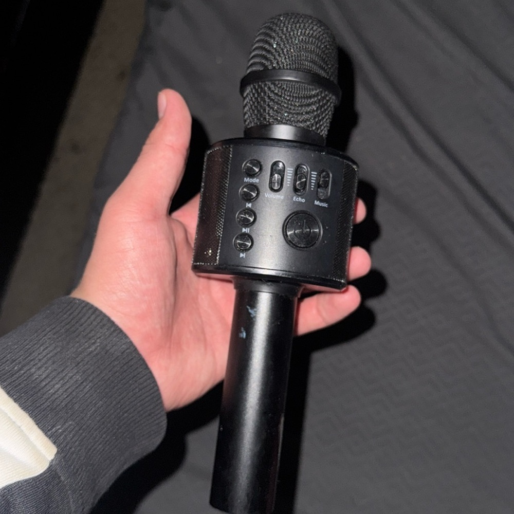 Karaoke mic
